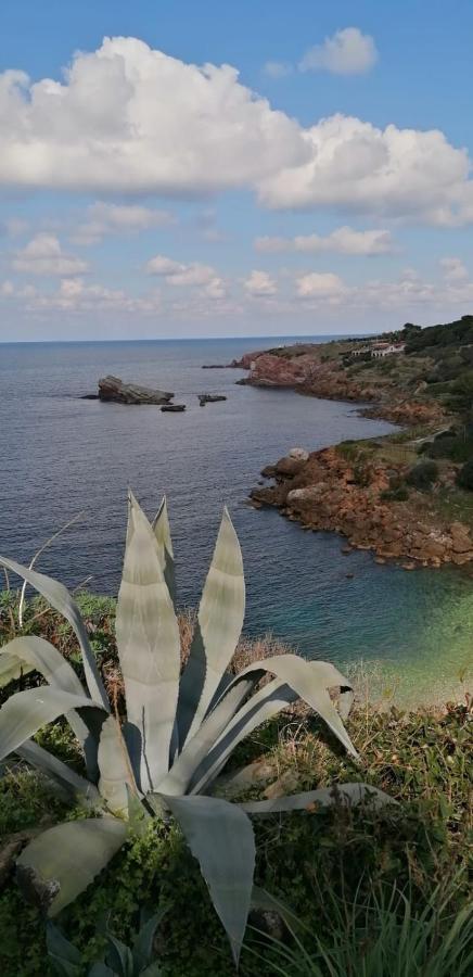 Zabbàra Alojamento de Acomodação e Pequeno-almoço Terrasini